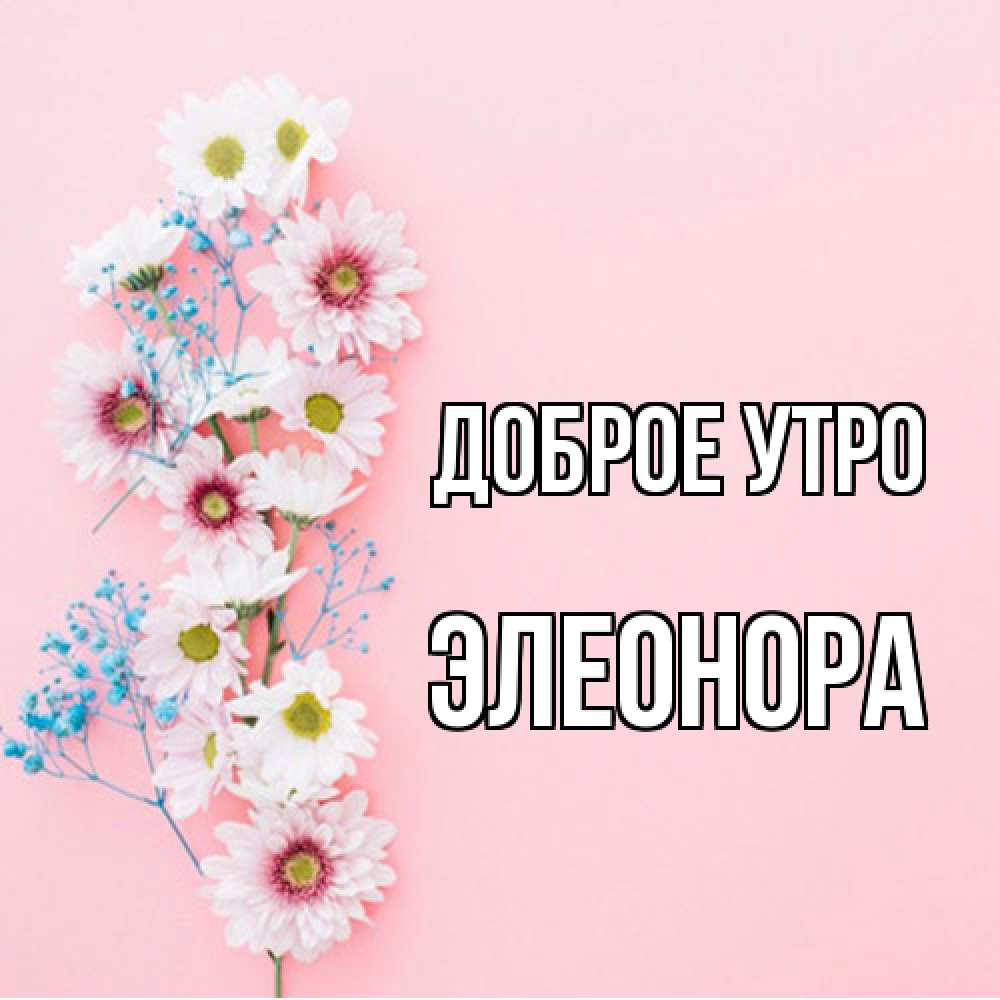 Открытка на каждый день с именем, Элеонора Доброе утро цветы с подписью Прикольная открытка с пожеланием онлайн скачать бесплатно 