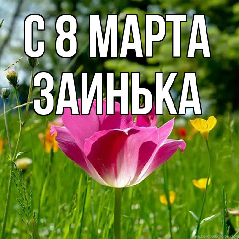 Открытка на каждый день с именем, Заинька C 8 МАРТА полевые цветы Прикольная открытка с пожеланием онлайн скачать бесплатно 