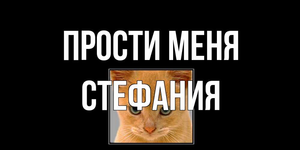 Открытка на каждый день с именем, Стефания Прости меня рыжий грустный кот просит прощения Прикольная открытка с пожеланием онлайн скачать бесплатно 