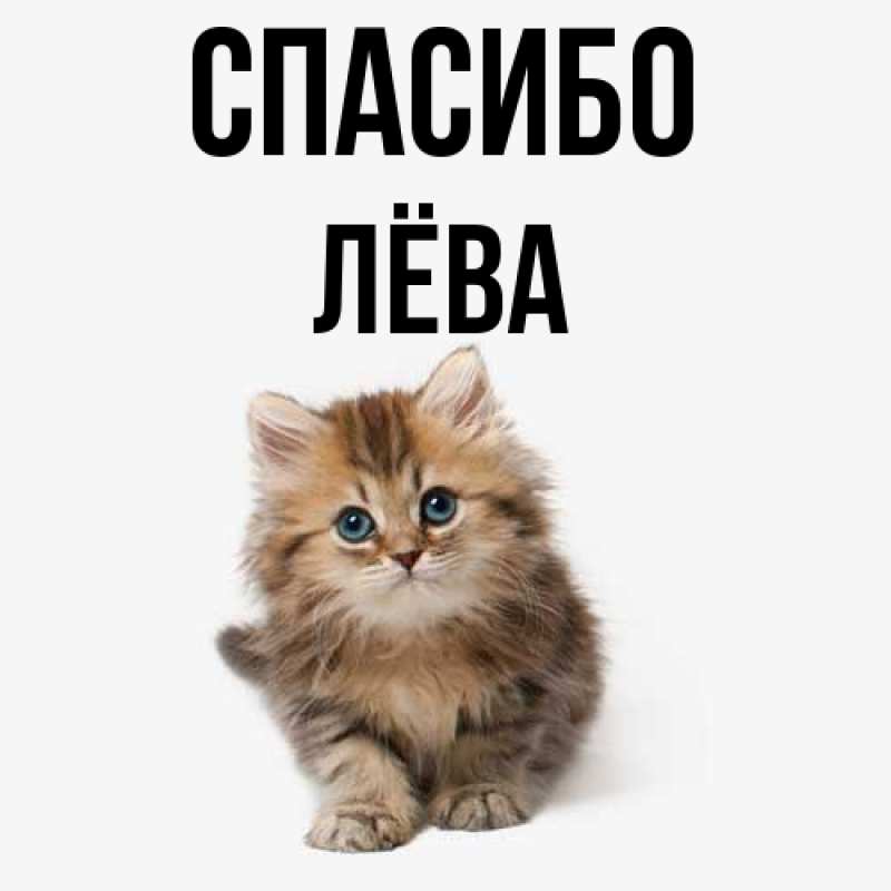 Картинка Спасибо, Лёва
