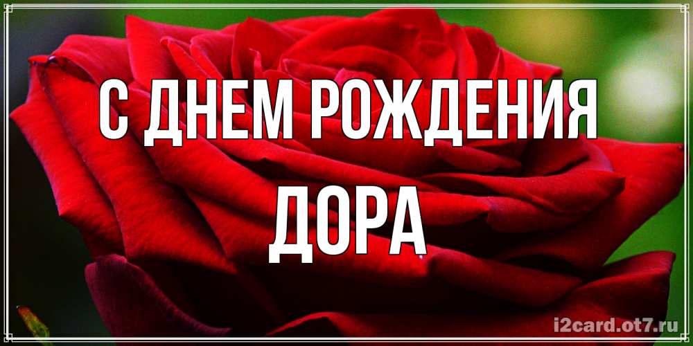 Открытка на каждый день с именем, Дора С днем рождения розочка очень красивая Прикольная открытка с пожеланием онлайн скачать бесплатно 