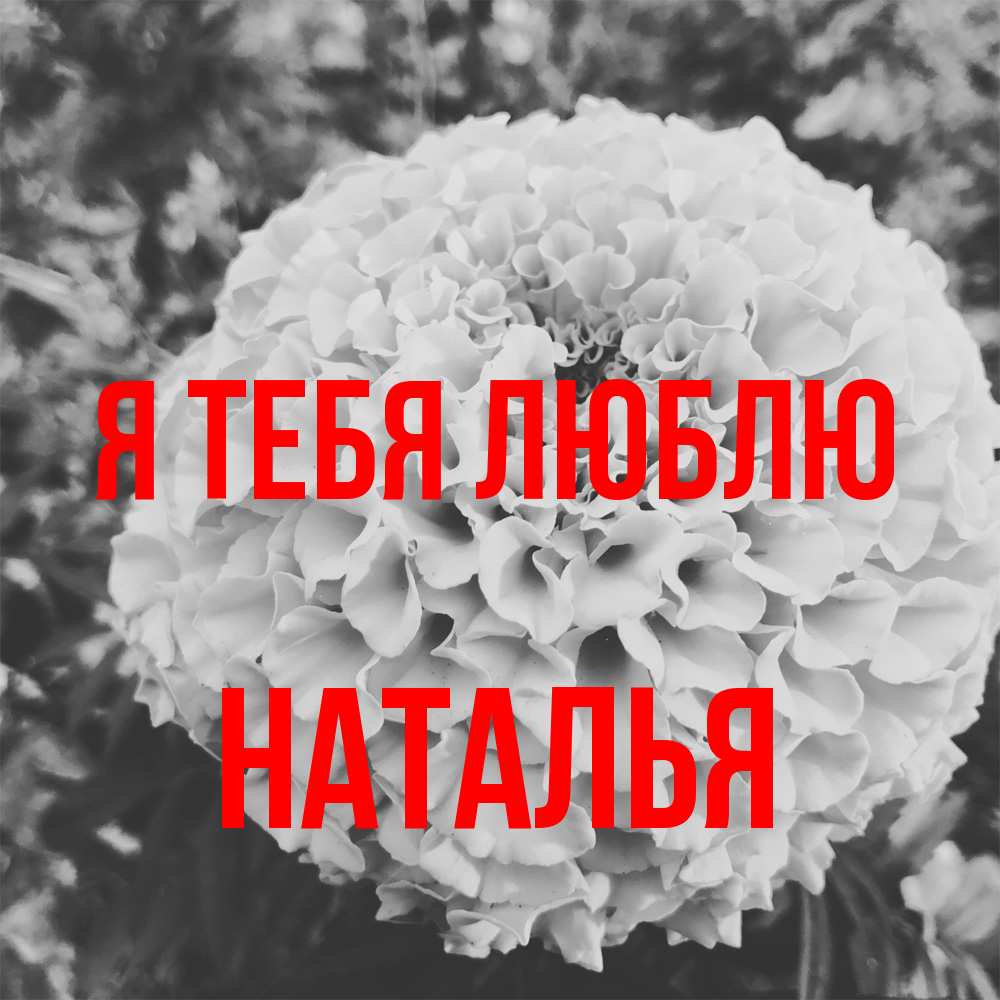 Открытка на каждый день с именем, Наталья Я тебя люблю подпись Прикольная открытка с пожеланием онлайн скачать бесплатно 