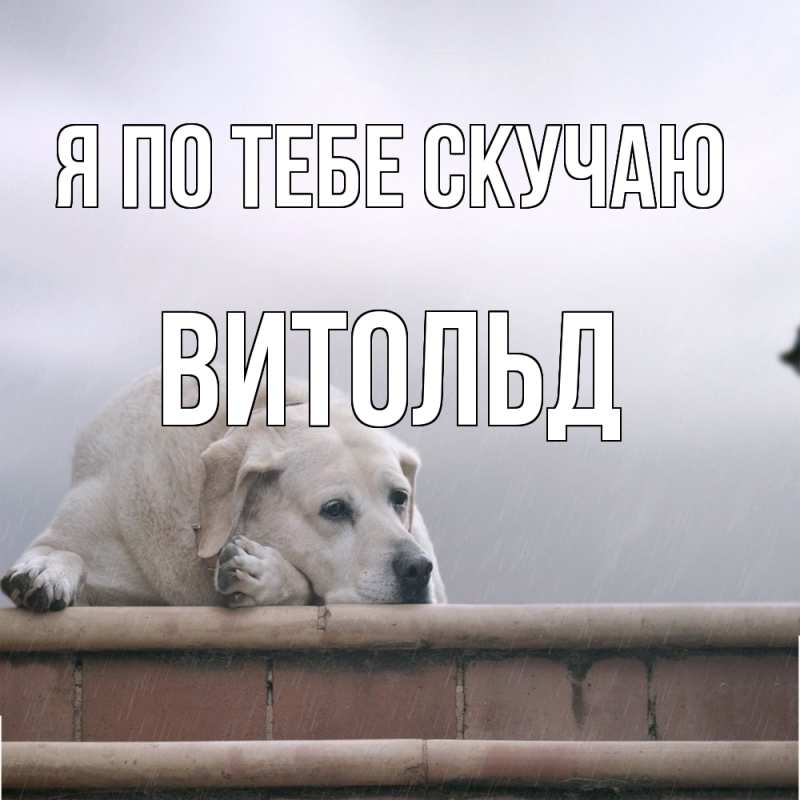 Картинка Я по тебе скучаю, Витольд