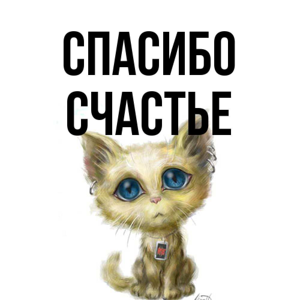 Открытка на каждый день с именем, счастье Спасибо рисованный кот благодарит вас Прикольная открытка с пожеланием онлайн скачать бесплатно 