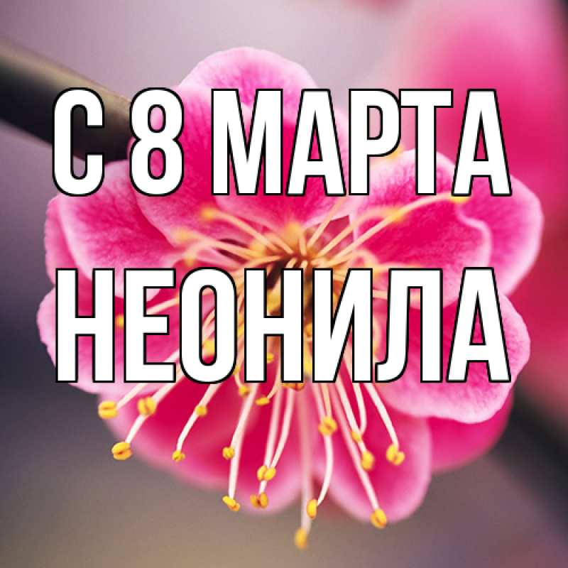 Картинка C 8 МАРТА, Неонила