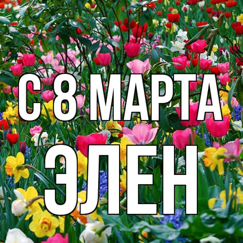 Картинка C 8 МАРТА, Элен