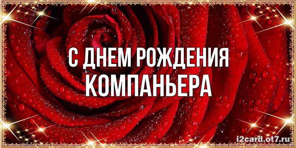 Открытка на каждый день с именем, Компаньера С днем рождения роса на розе блестящая в лучах солнца Прикольная открытка с пожеланием онлайн скачать бесплатно 