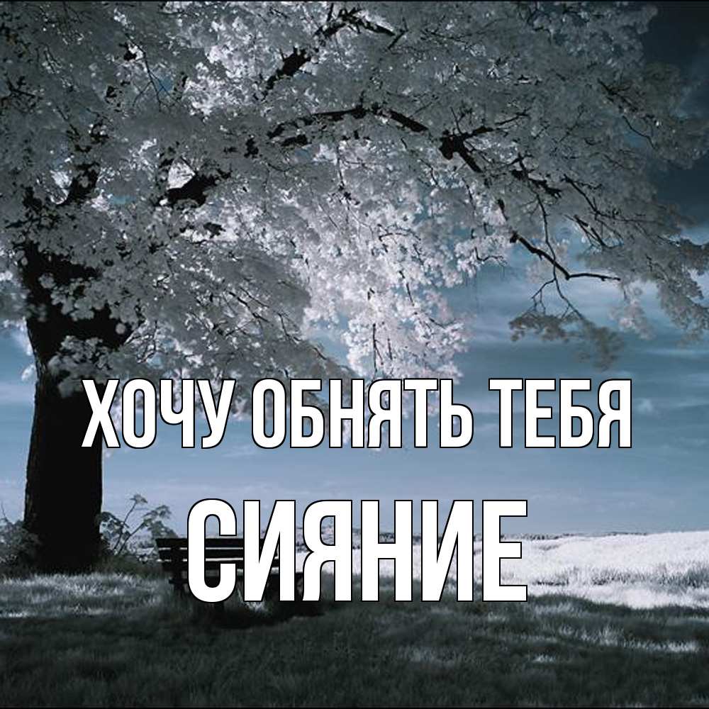 Открытка на каждый день с именем, Сияние Хочу обнять тебя дерево Прикольная открытка с пожеланием онлайн скачать бесплатно 