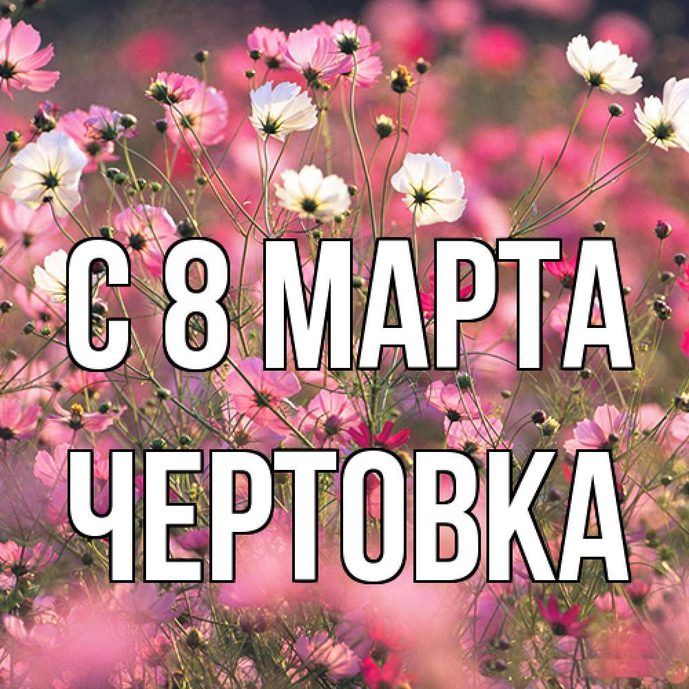 Открытка на каждый день с именем, Чертовка C 8 МАРТА красиво 1 Прикольная открытка с пожеланием онлайн скачать бесплатно 