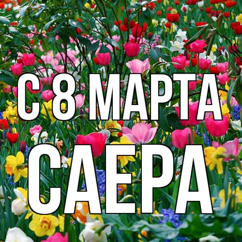 Картинка C 8 МАРТА, Саера