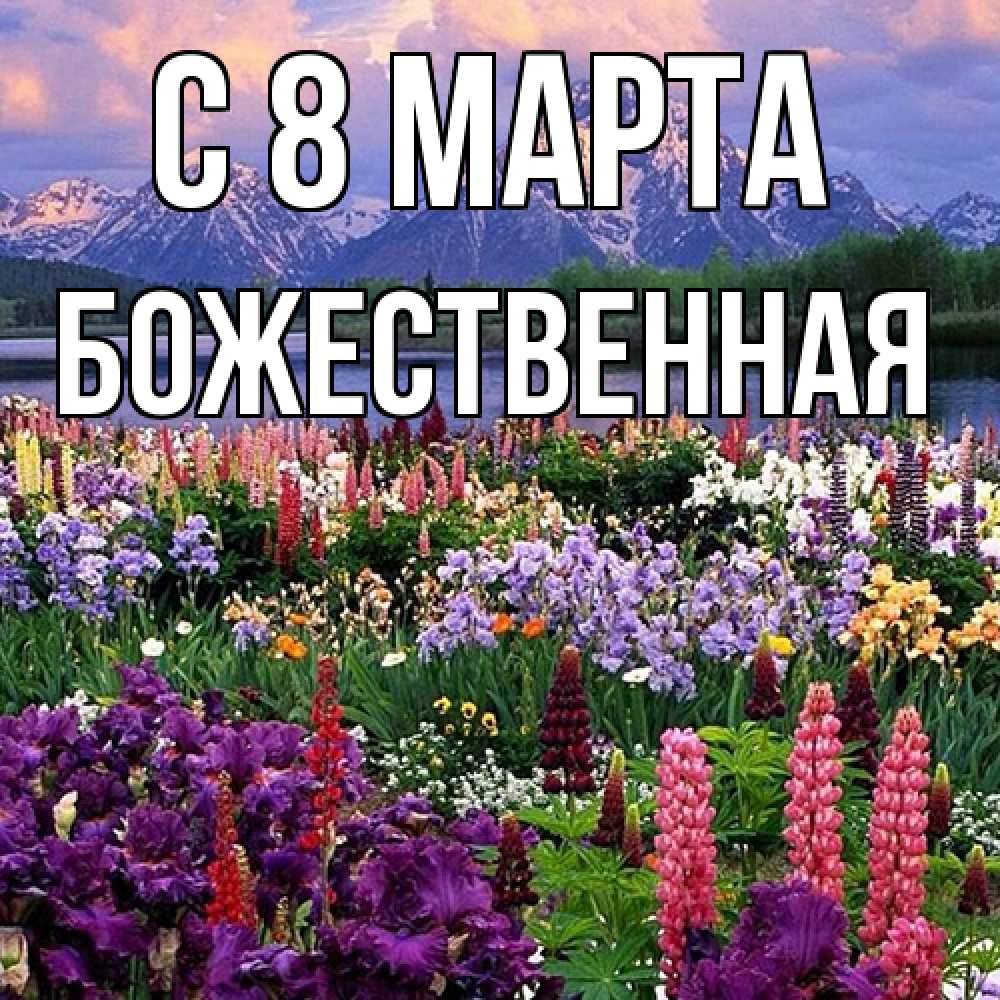 Открытка на каждый день с именем, божественная C 8 МАРТА международный женский день Прикольная открытка с пожеланием онлайн скачать бесплатно 