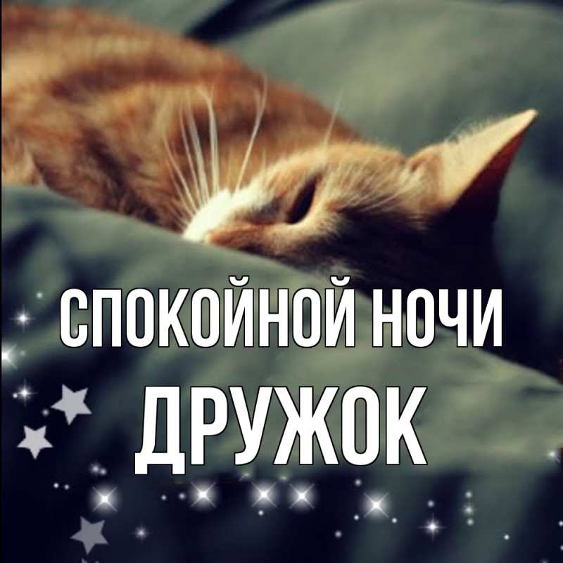 Картинка Спокойной ночи, Дружок