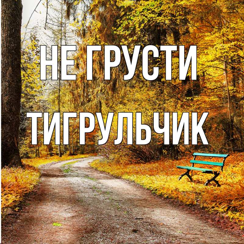 Картинка Не грусти, Тигpульчик