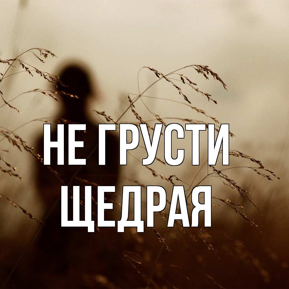 Открытка на каждый день с именем, Щедpая Не грусти грусть Прикольная открытка с пожеланием онлайн скачать бесплатно 