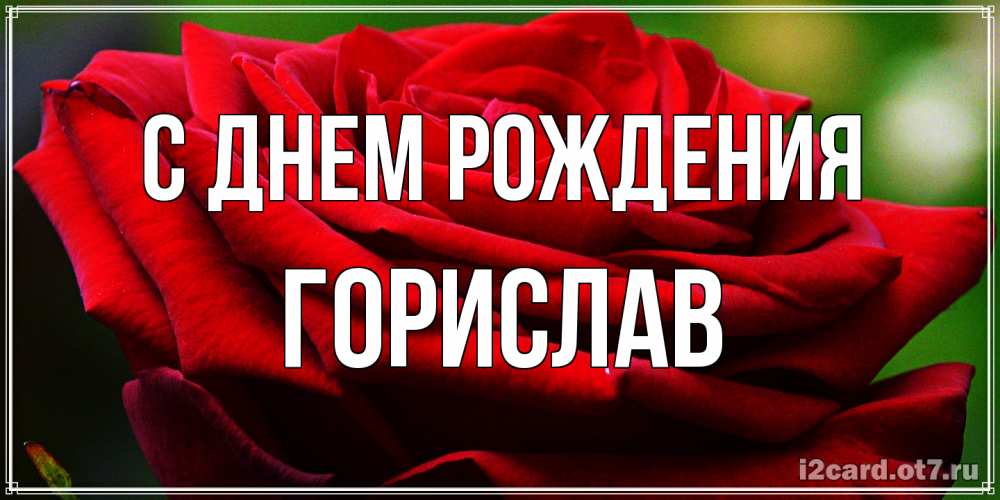 Открытка на каждый день с именем, Горислав С днем рождения розочка очень красивая Прикольная открытка с пожеланием онлайн скачать бесплатно 