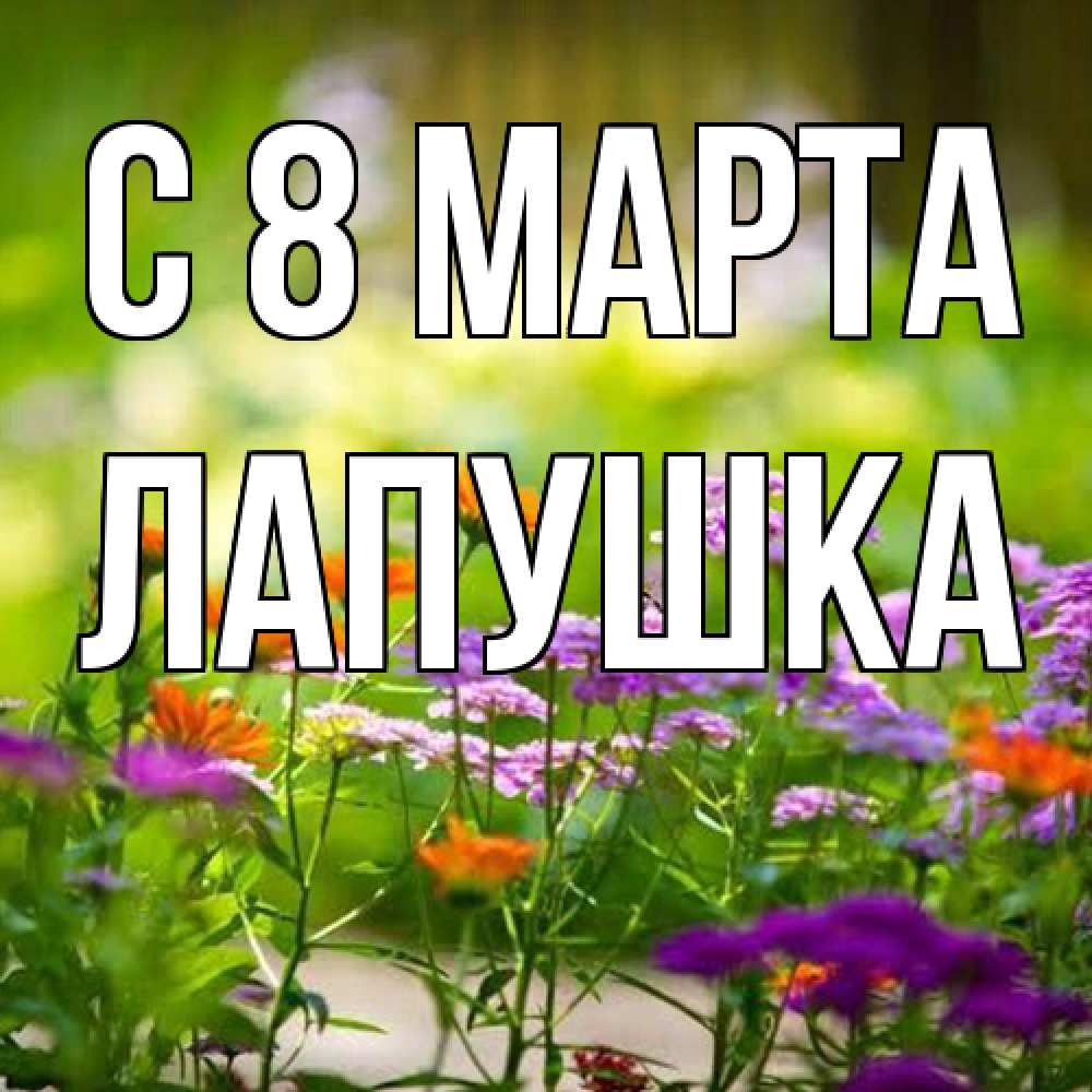 Открытка на каждый день с именем, лапушка C 8 МАРТА цветы Прикольная открытка с пожеланием онлайн скачать бесплатно 