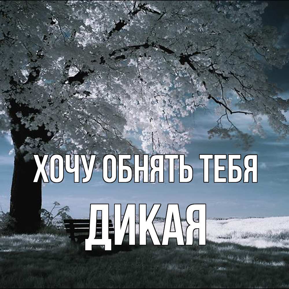 Открытка на каждый день с именем, дикая Хочу обнять тебя дерево Прикольная открытка с пожеланием онлайн скачать бесплатно 