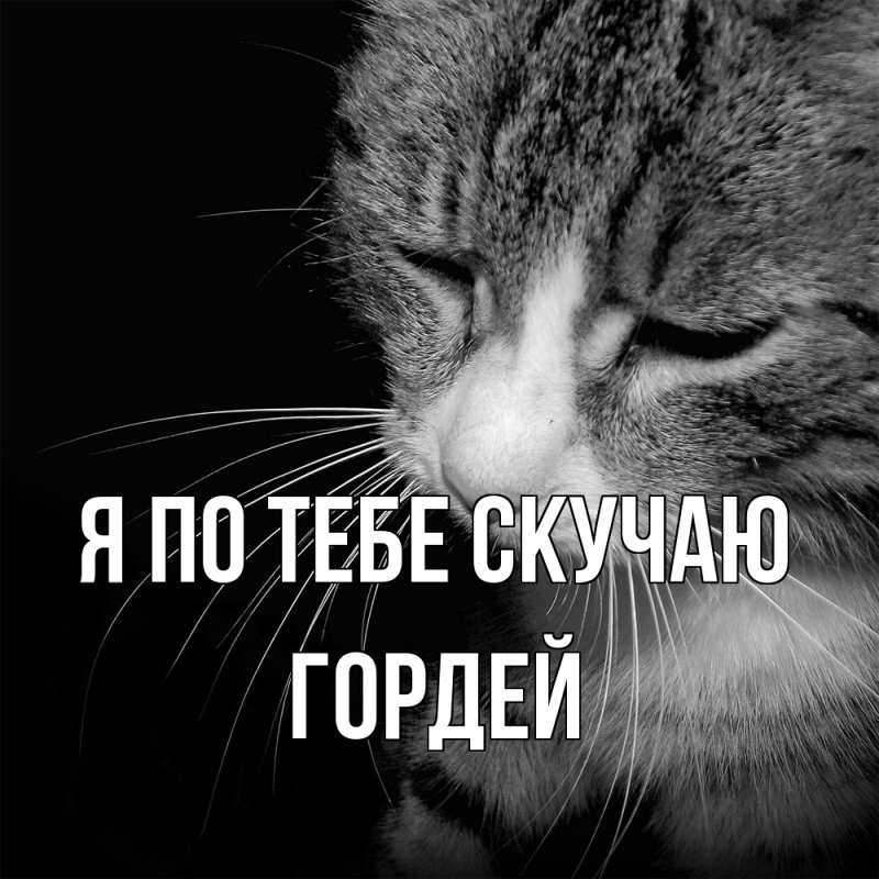 Картинка Я по тебе скучаю, Гордей