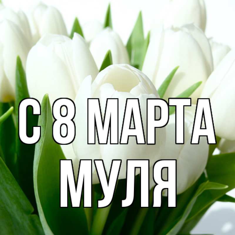 Картинка C 8 МАРТА, Муля