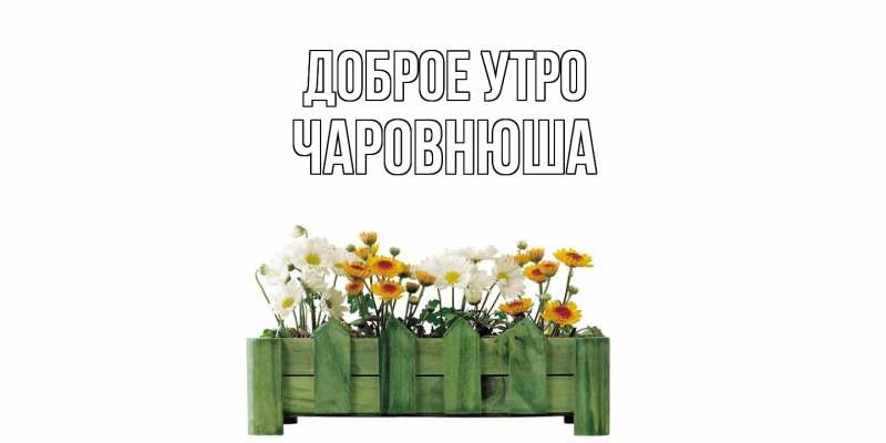 Картинка Доброе утро, Чаpовнюша