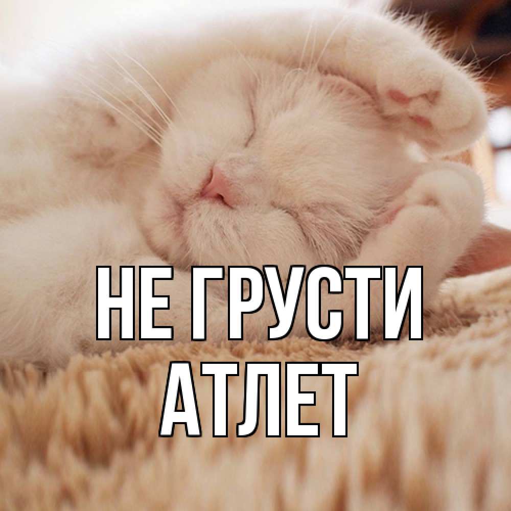 Открытка на каждый день с именем, Атлет Не грусти белый кот Прикольная открытка с пожеланием онлайн скачать бесплатно 