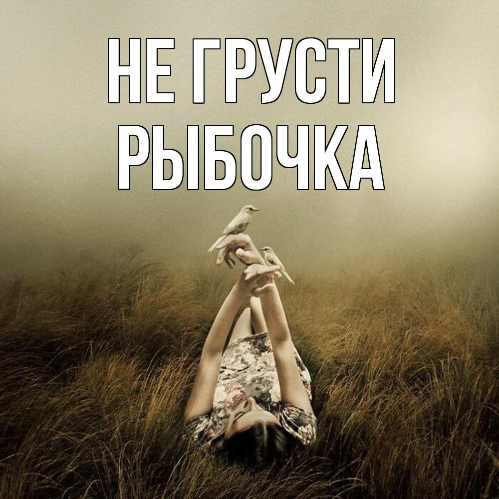 Открытка на каждый день с именем, рыбочка Не грусти поле и туман Прикольная открытка с пожеланием онлайн скачать бесплатно 