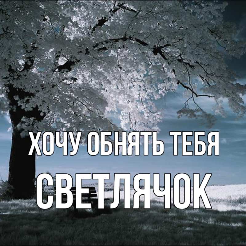 Картинка Хочу обнять тебя, Светлячок