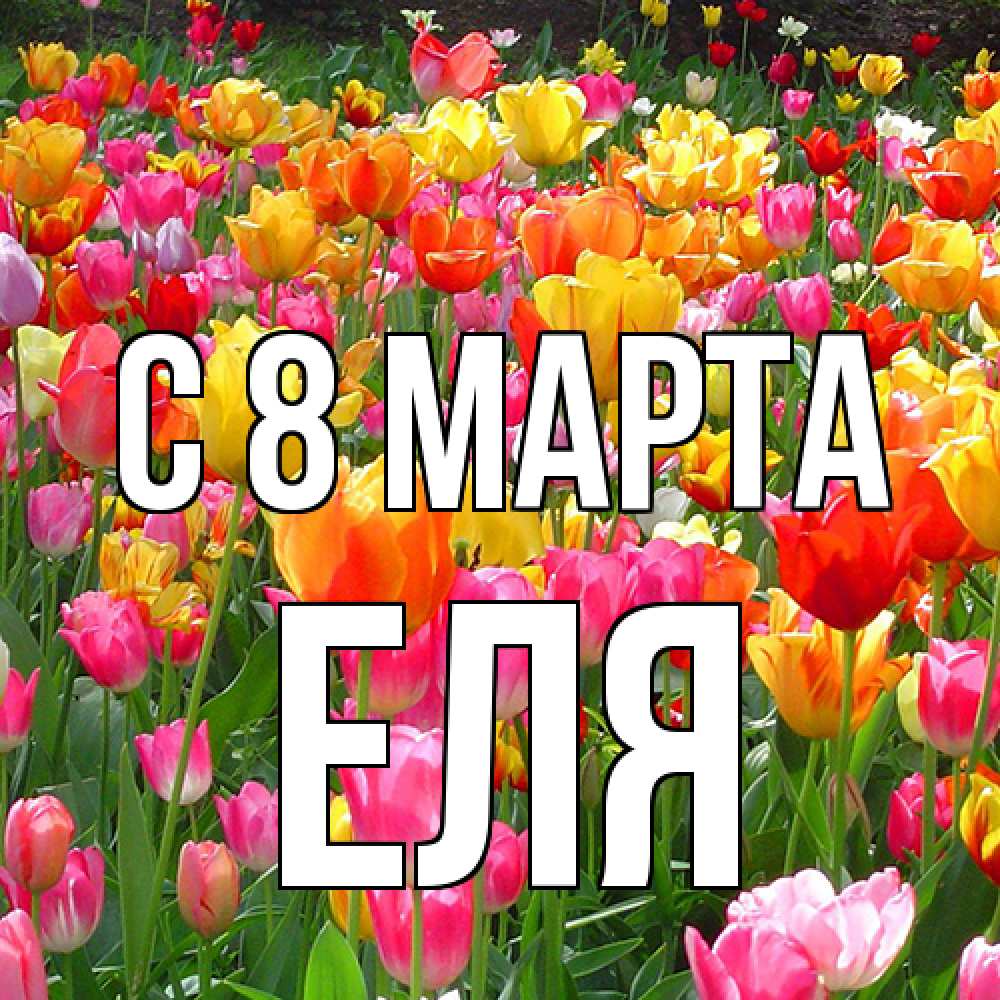 Открытка на каждый день с именем, Еля C 8 МАРТА на международный женский день Прикольная открытка с пожеланием онлайн скачать бесплатно 