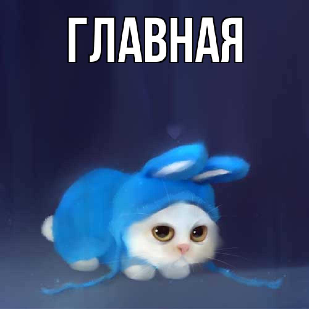 Открытка на каждый день с именем, настя Главная невинный котозай просит прощения Прикольная открытка с пожеланием онлайн скачать бесплатно 