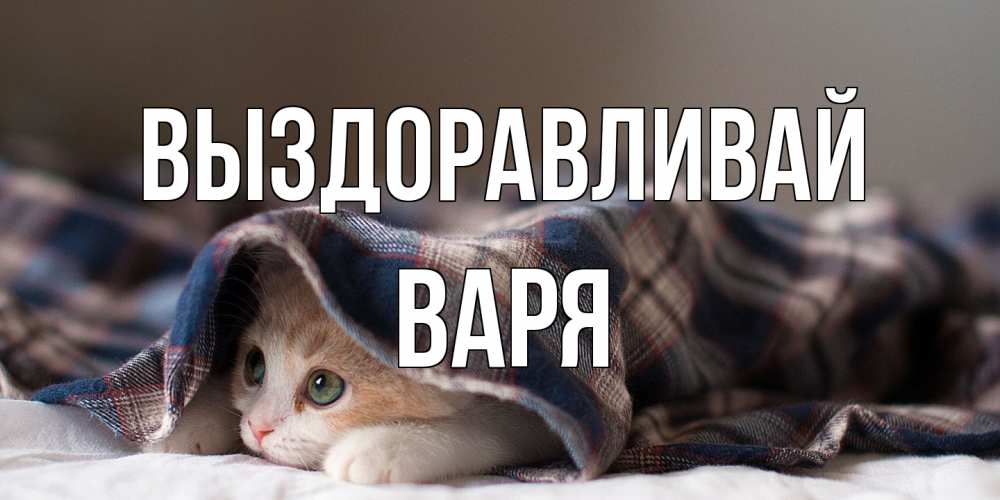 Открытка на каждый день с именем, Варя Выздоравливай не болейте с котиком Прикольная открытка с пожеланием онлайн скачать бесплатно 