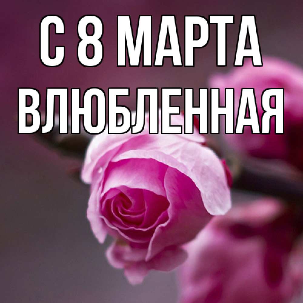Открытка на каждый день с именем, Влюбленная C 8 МАРТА весна Прикольная открытка с пожеланием онлайн скачать бесплатно 