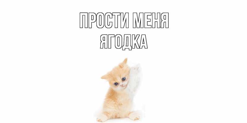 Картинка Прости меня, ягодка