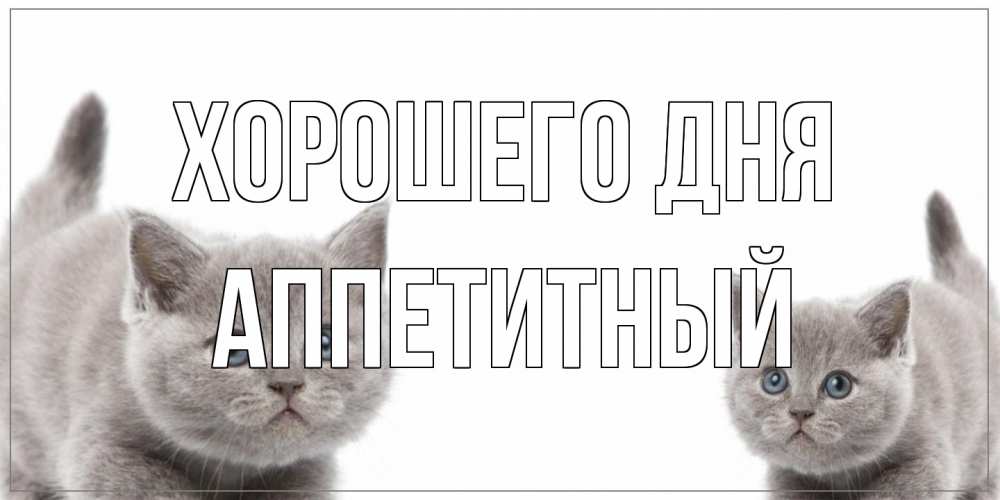 Открытка на каждый день с именем, Аппетитный Хорошего дня открытка с котами Прикольная открытка с пожеланием онлайн скачать бесплатно 