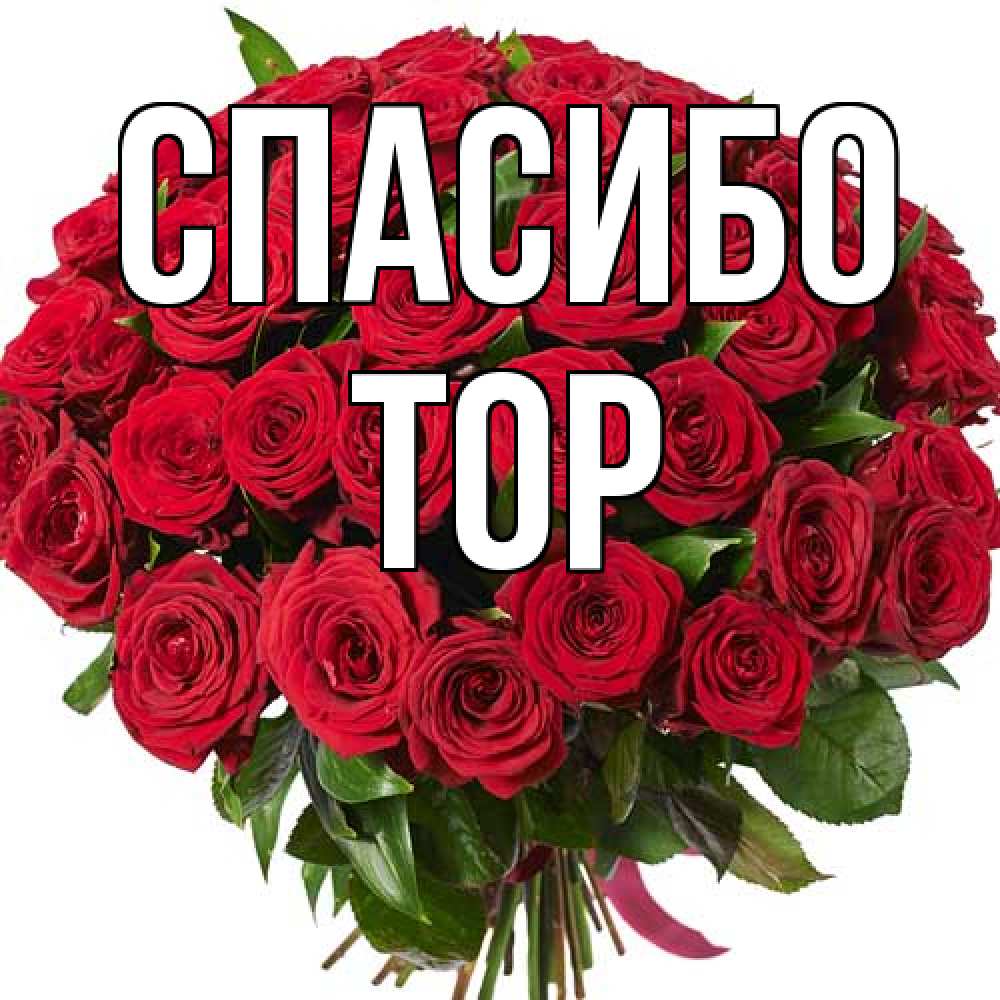 Открытка на каждый день с именем, Тор Спасибо букет красных роз Прикольная открытка с пожеланием онлайн скачать бесплатно 