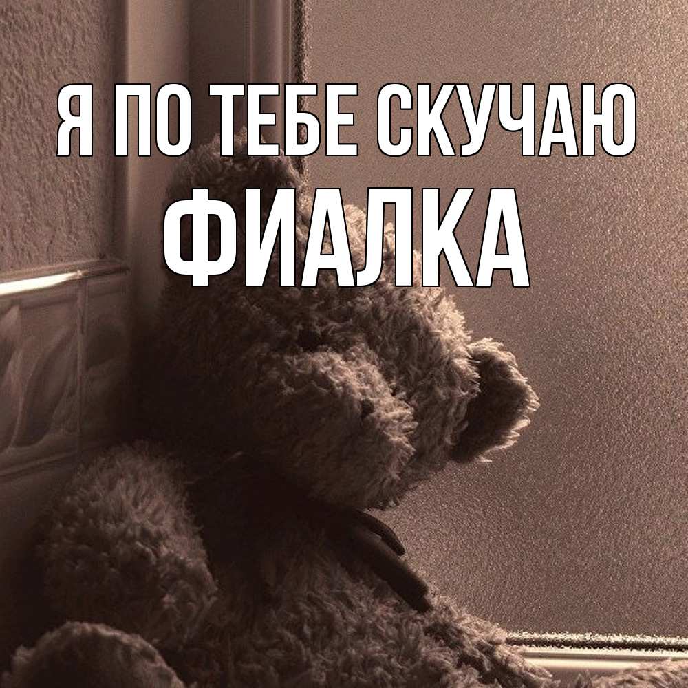 Открытка на каждый день с именем, Фиалка Я по тебе скучаю скучаем тут Прикольная открытка с пожеланием онлайн скачать бесплатно 