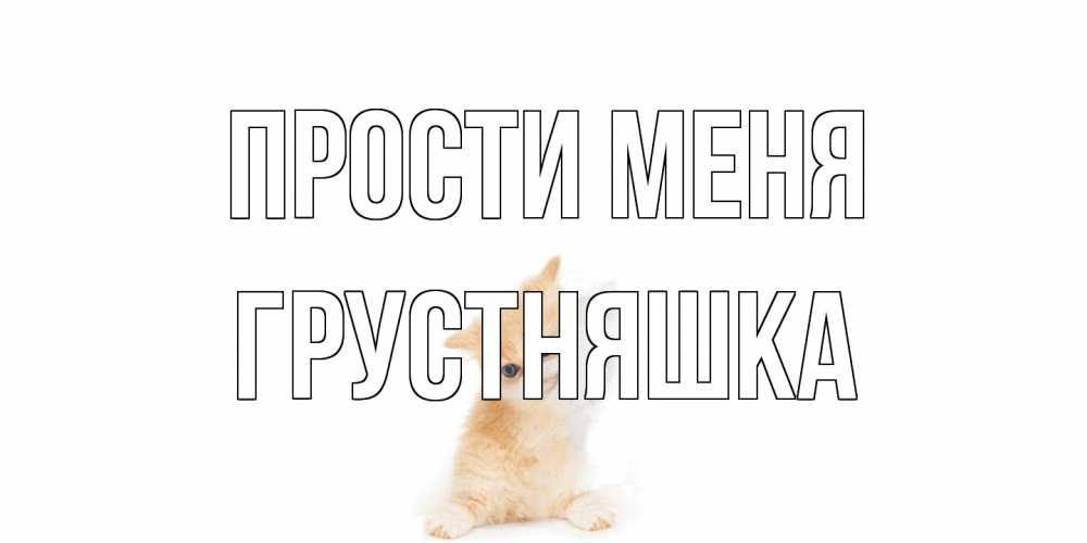 Открытка на каждый день с именем, Грустняшка Прости меня кот Прикольная открытка с пожеланием онлайн скачать бесплатно 