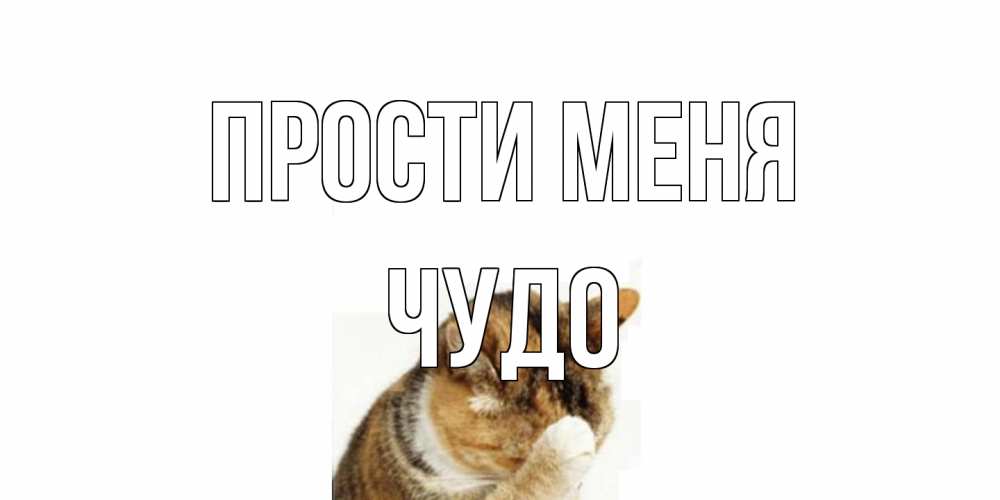 Открытка на каждый день с именем, Чудо Прости меня кот Прикольная открытка с пожеланием онлайн скачать бесплатно 