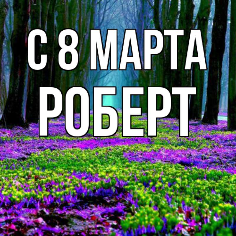Картинка C 8 МАРТА, Роберт