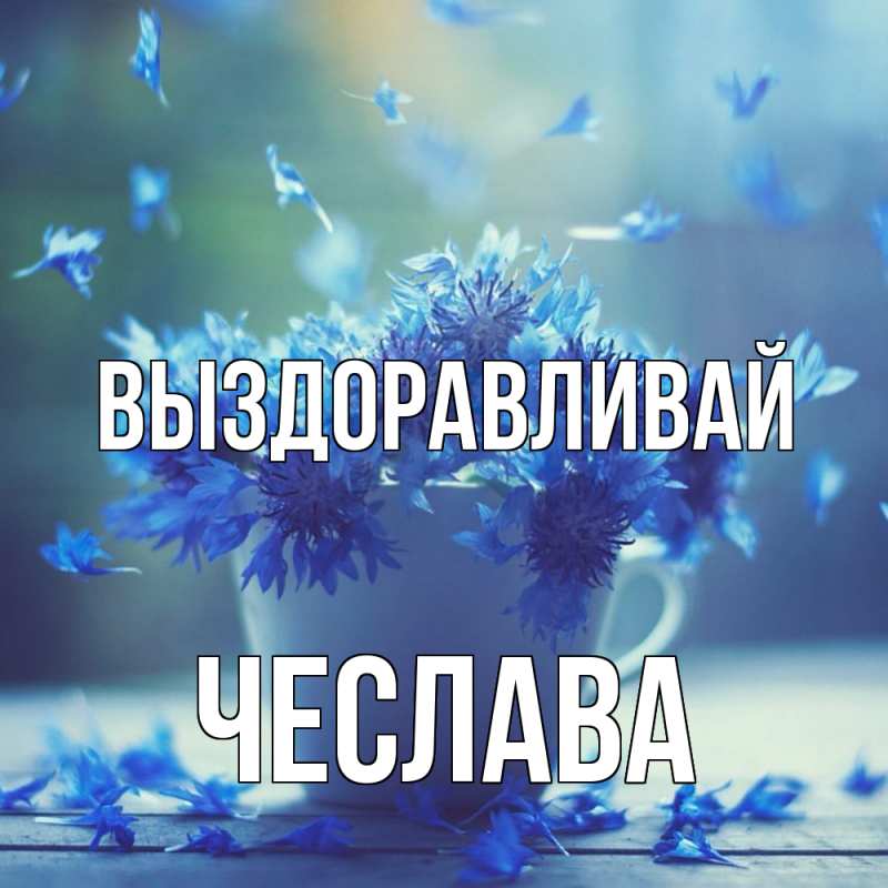 Картинка Выздоравливай, Чеслава