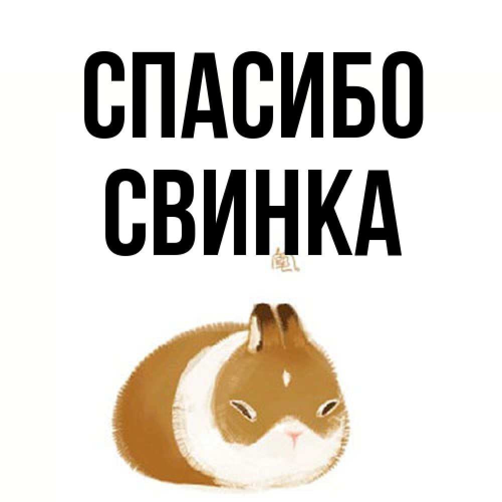Открытка на каждый день с именем, Свинка Спасибо коричнево белый домашний питомец Прикольная открытка с пожеланием онлайн скачать бесплатно 