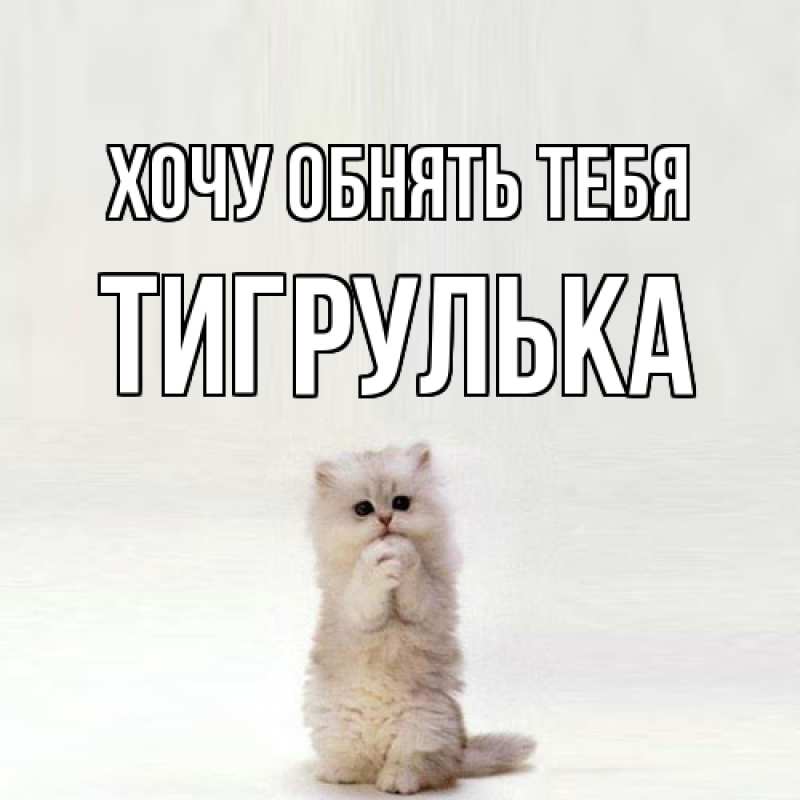 Картинка Хочу обнять тебя, тигрулька