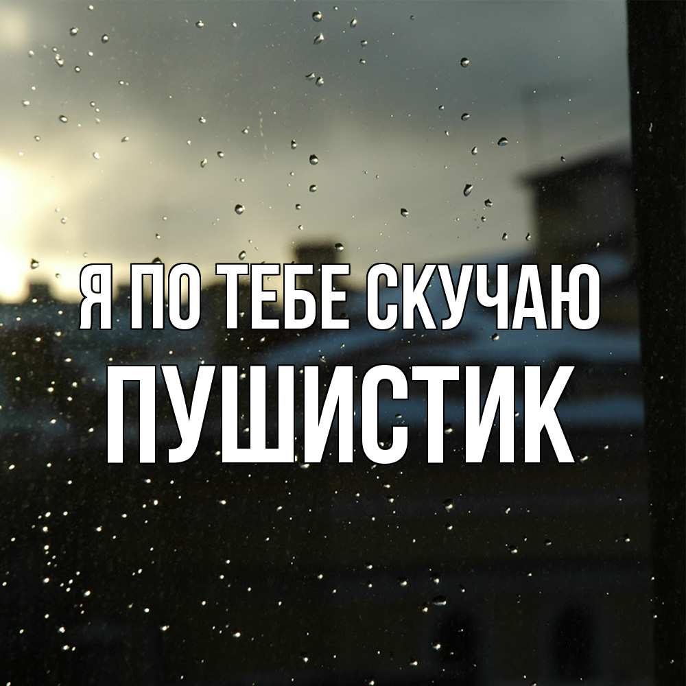 Открытка на каждый день с именем, Пушистик Я по тебе скучаю капли на стекле Прикольная открытка с пожеланием онлайн скачать бесплатно 