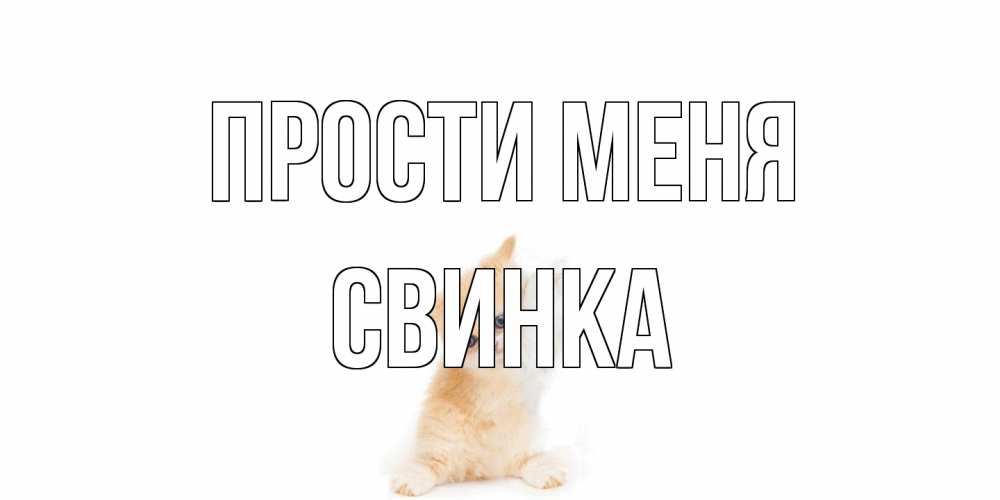 Открытка на каждый день с именем, Свинка Прости меня кот Прикольная открытка с пожеланием онлайн скачать бесплатно 
