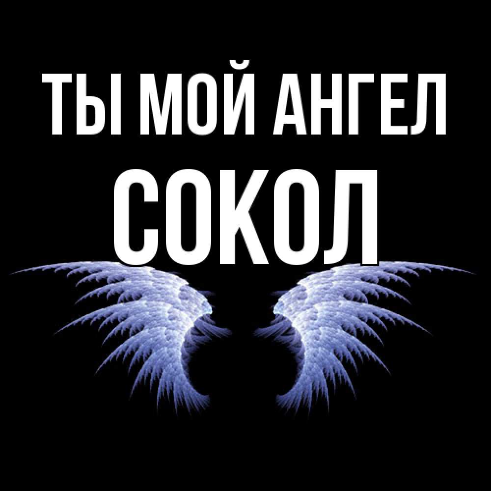 Открытка на каждый день с именем, Сокол Ты мой ангел ангельские крылья на черном фоне Прикольная открытка с пожеланием онлайн скачать бесплатно 