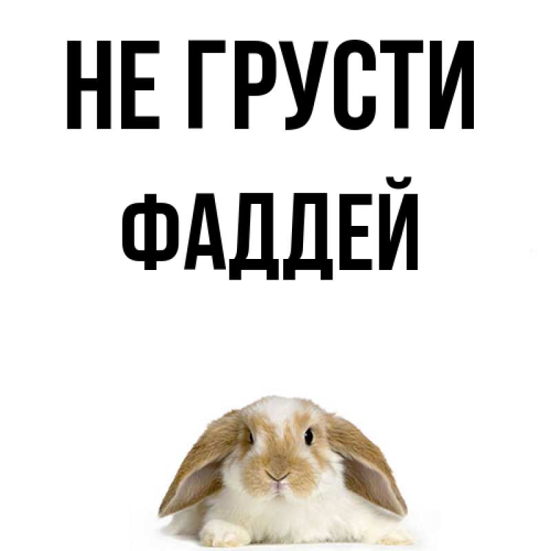 Картинка Не грусти, Фаддей