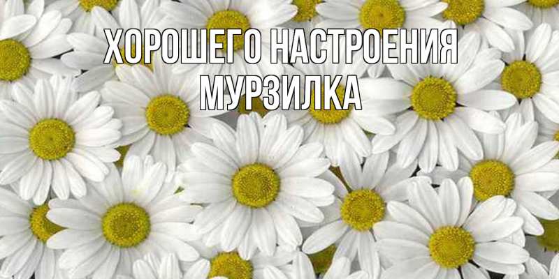 Картинка Хорошего настроения, мурзилка