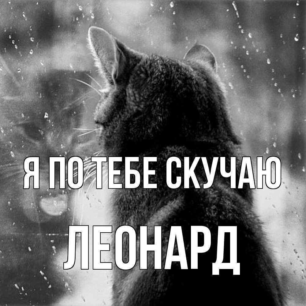 Открытка на каждый день с именем, Леонард Я по тебе скучаю скорее ко мне приходи 1 Прикольная открытка с пожеланием онлайн скачать бесплатно 