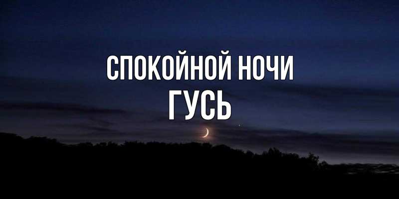 Картинка Спокойной ночи, Гусь