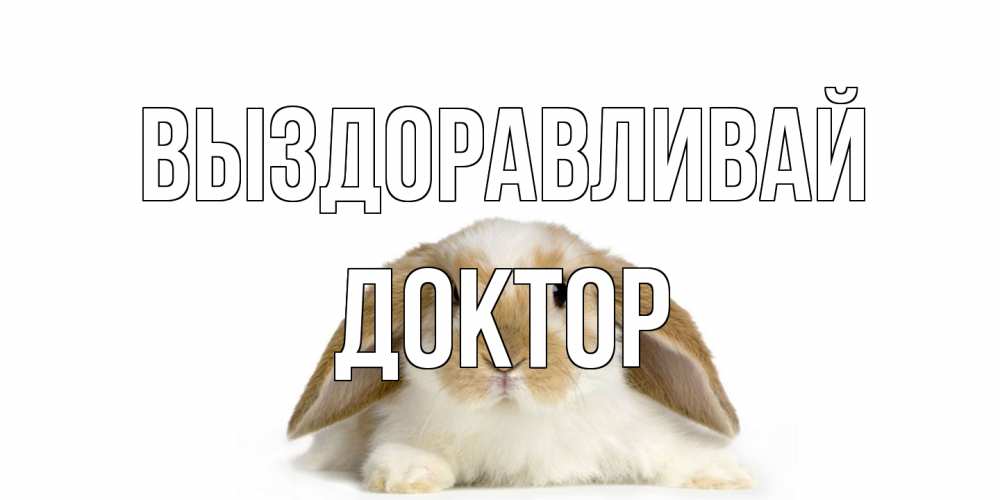 Открытка на каждый день с именем, Доктор Выздоравливай вислоухий кролик белого и коричневого цвета Прикольная открытка с пожеланием онлайн скачать бесплатно 