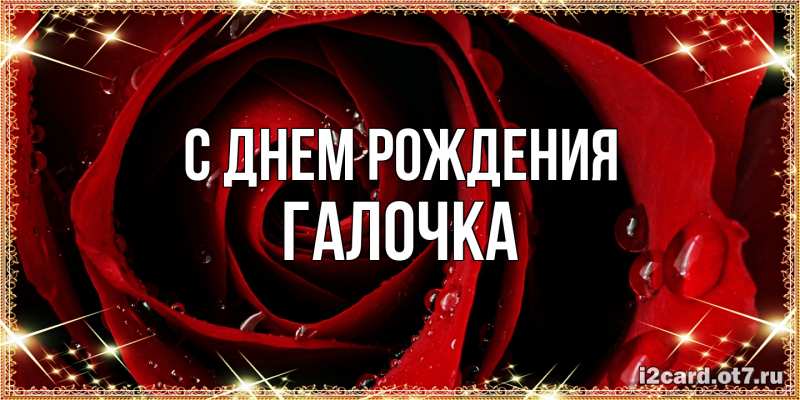 Картинка С днем рождения, Галочка